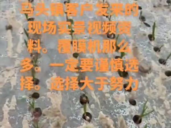 大蒜洋蔥覆膜打孔一體機視頻